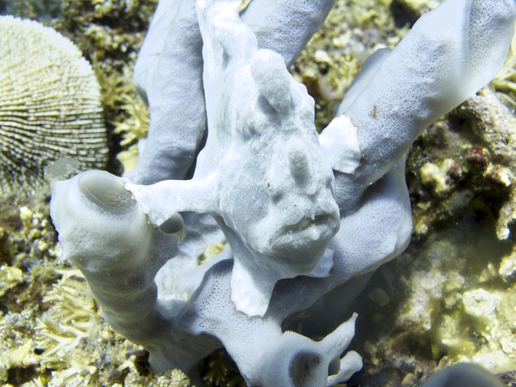 Breathe Villa Meno Gili Meno Eksteriør bilde